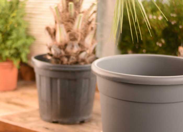 Tuto – Jardinerie Tarnaise